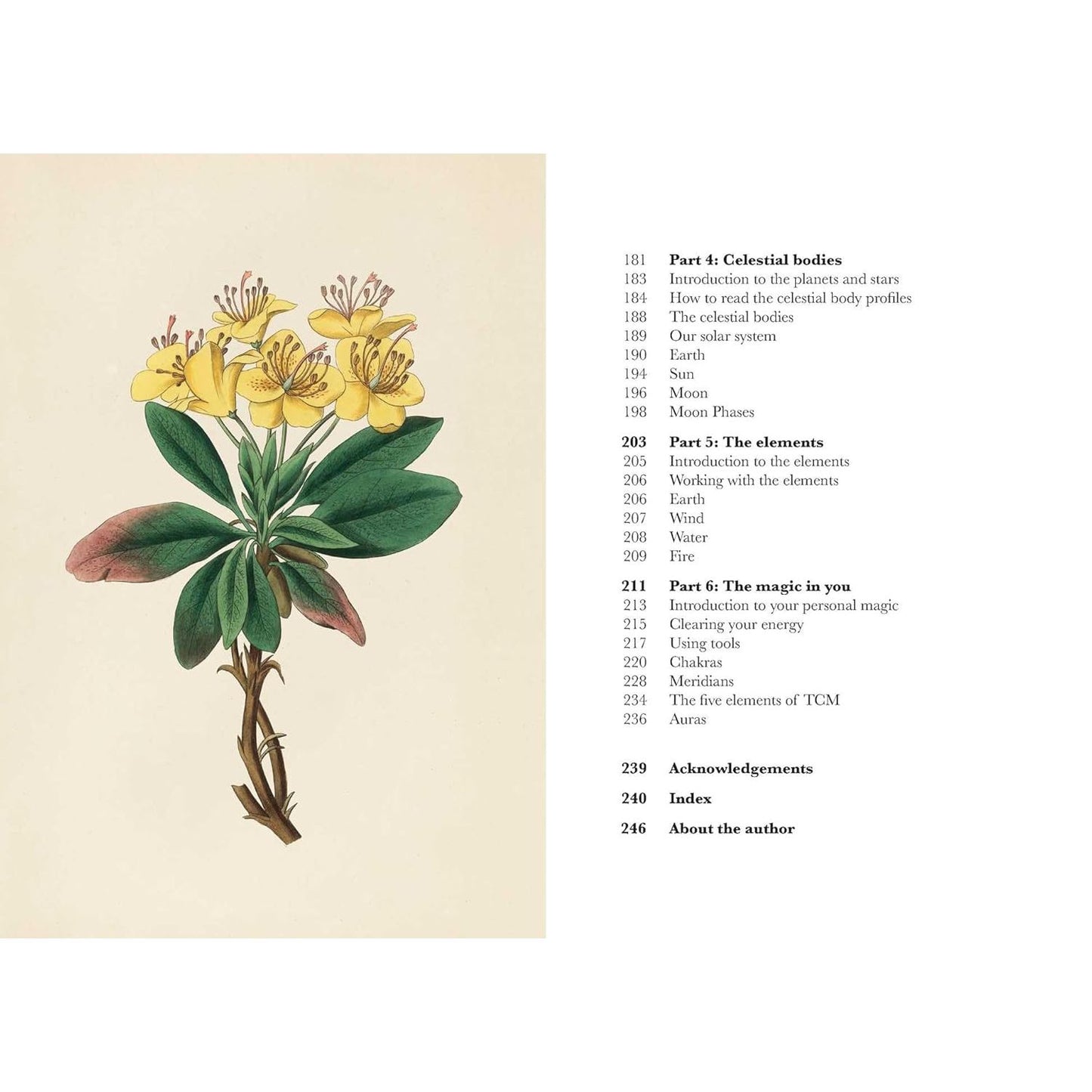 MAGIC IN NATURE BY JESSICA LAHOUD