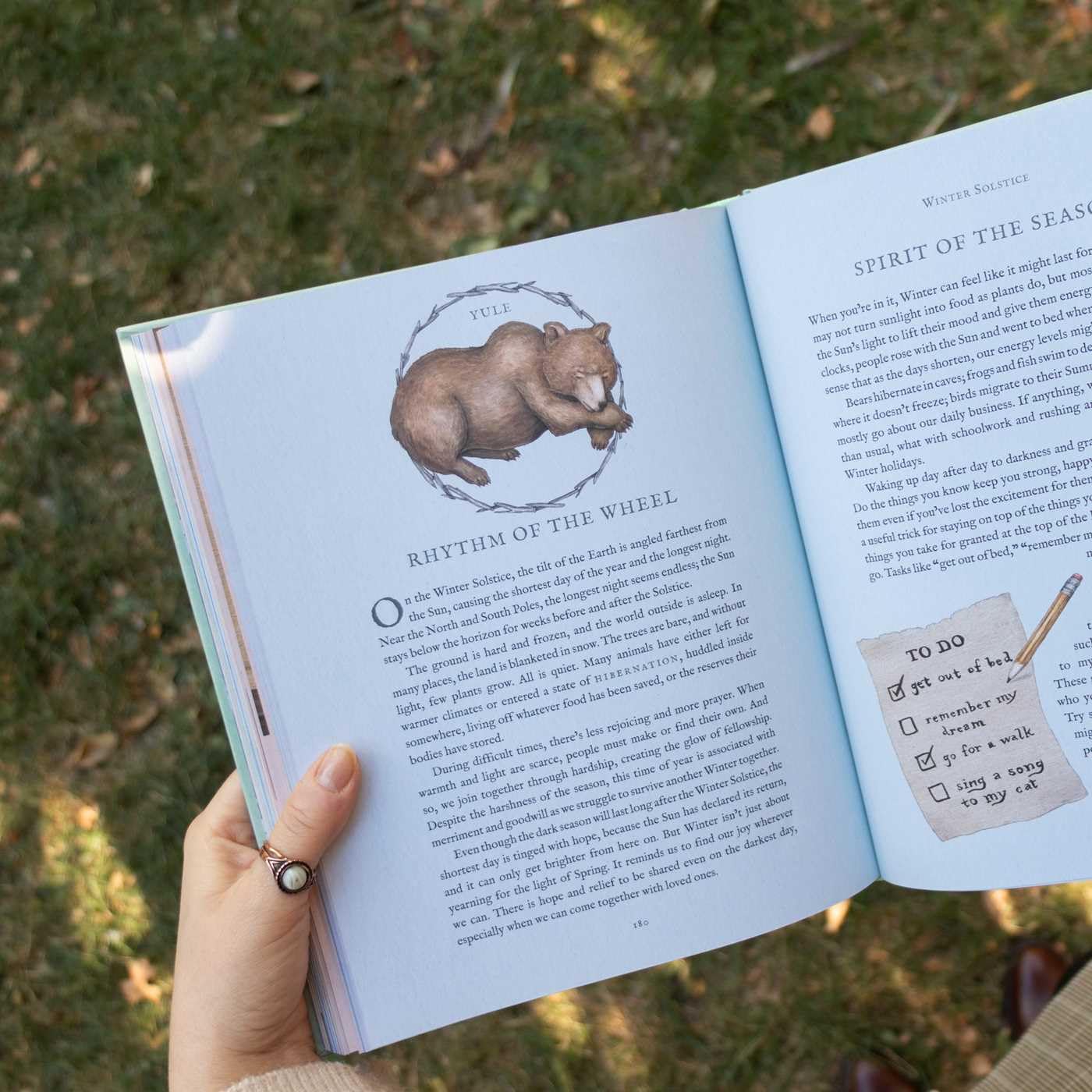 THE WHEEL OF THE YEAR: AN ILLUSTRATED GUIDE TO NATURE'S RYTHMS BY FIONA COOK AND JESSICA ROUX