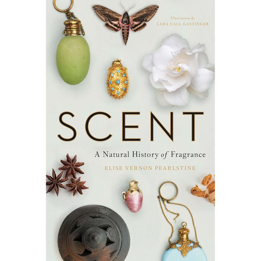 SCENT: A NATURAL HISTORY OF FRAGRANCE BY ELISE VERNON PEARLSTINE