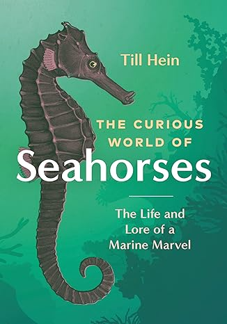 THE CURIOUS WORLD OF THE SEAHORSE BY TILL HEIN