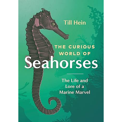 THE CURIOUS WORLD OF THE SEAHORSE BY TILL HEIN