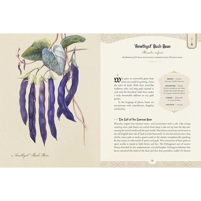 THE GOTH GARDEN: THE MYSTERY, BEAUTY, AND LORE OF DARK GARDENING BY FELICIA FEASTER