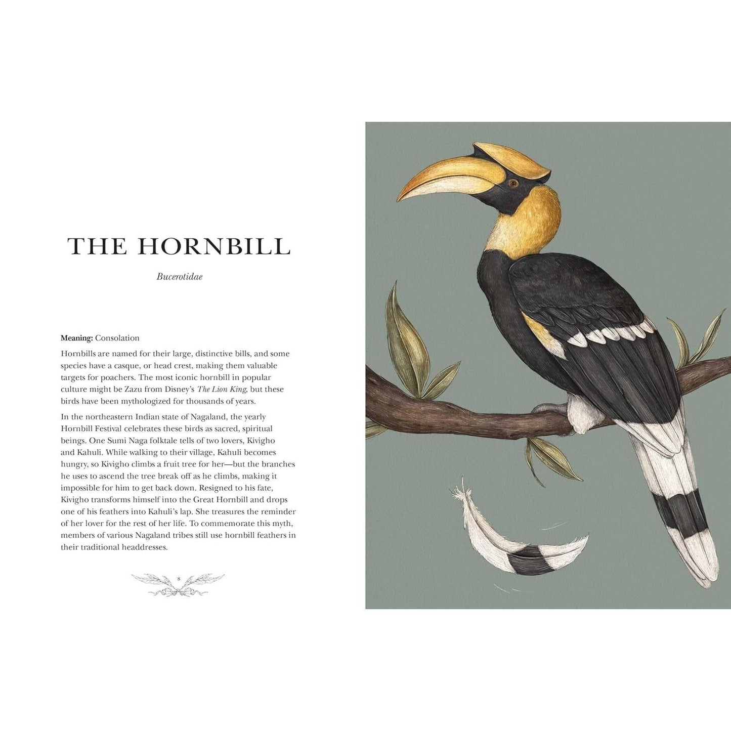 ORNITHOGRAPHY: AN ILLUSTRATED GUIDE TO BIRD LORE AND SYMBOLISM BY JESSICA ROUX