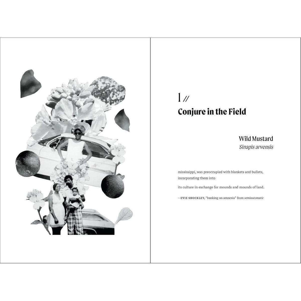 TENDING THE VINES: BLACK ABUNDANCE IN EIGHT PLANTS BY ASHIA S. AJANI