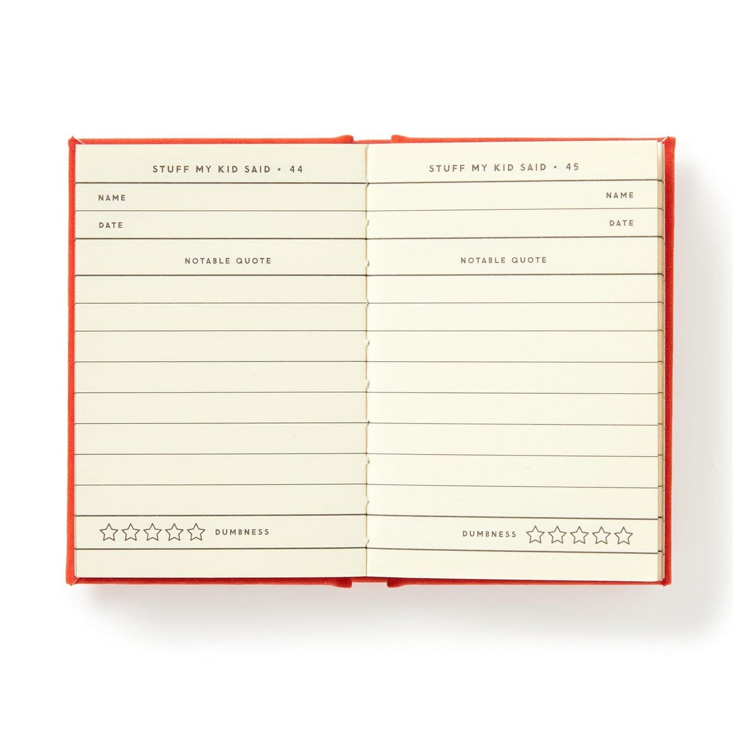 DUMB THINGS MY KIDS SAY (A TINY DIARY)