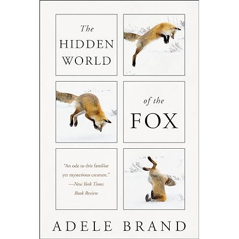 THE HIDDEN WORLD OF THE FOX ADELE BRAND