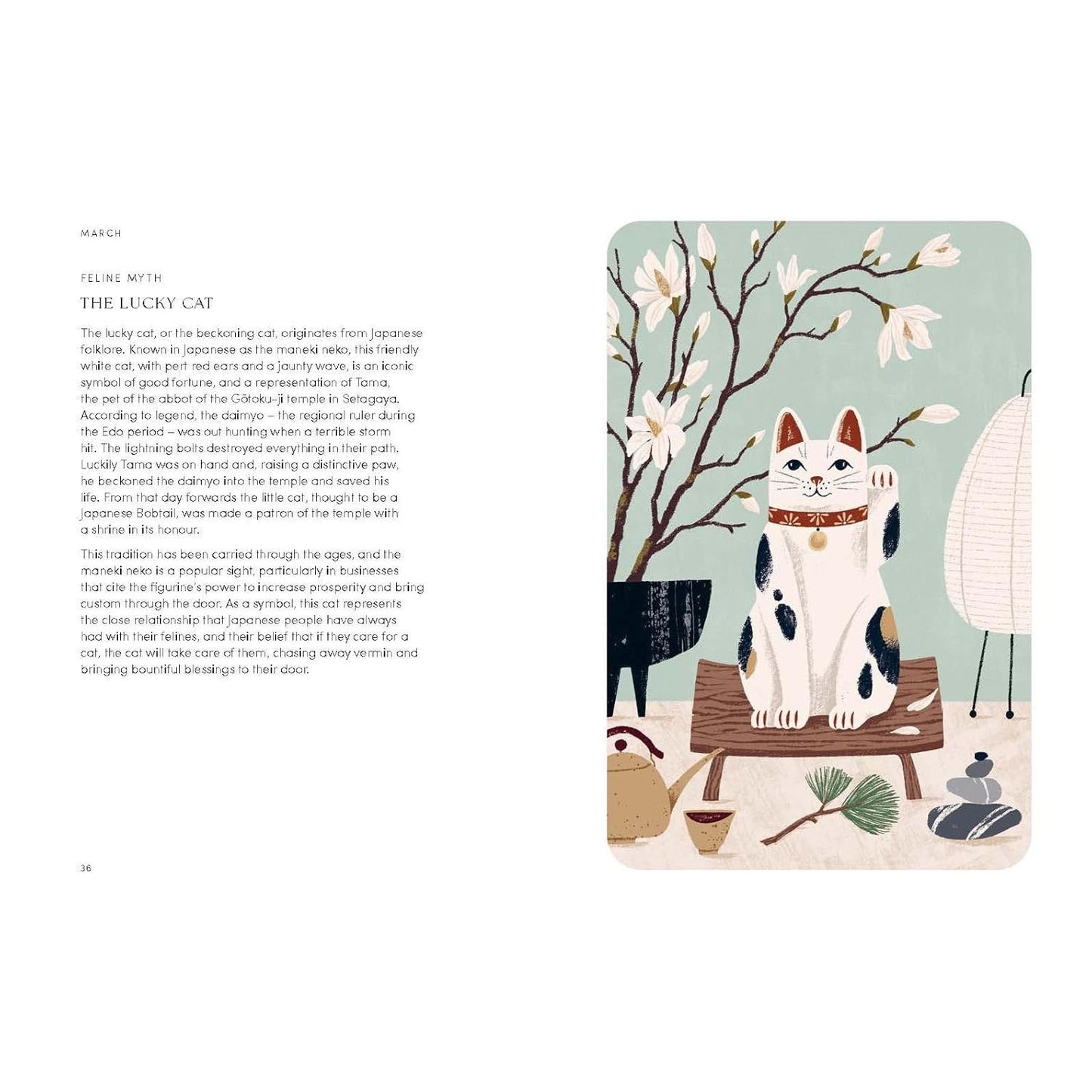 THE CAT YEAR: CATS, MAGIC, NATURE AND SPELLS BY ALISON DAVIES