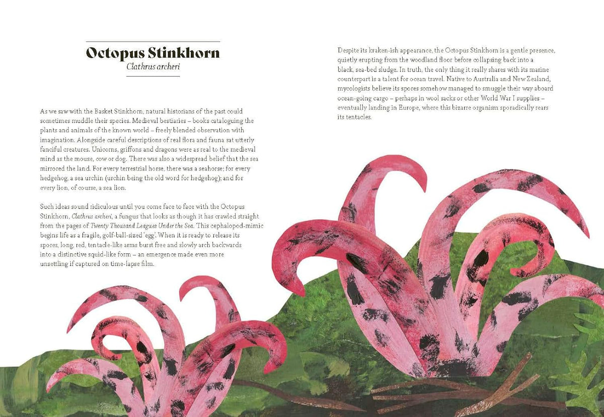 FUNGI LORE: THE MYTHS, FOLKLORE AND MAGIC OF MUSHROOMS BY SALLY COULTHARD