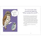 BIRD TALK: HILARIOUSLY ACCURATE WAYS TO IDENTIFY BIRDS BY THE SOUND THEY MAKE BY BECCA ROWLAND