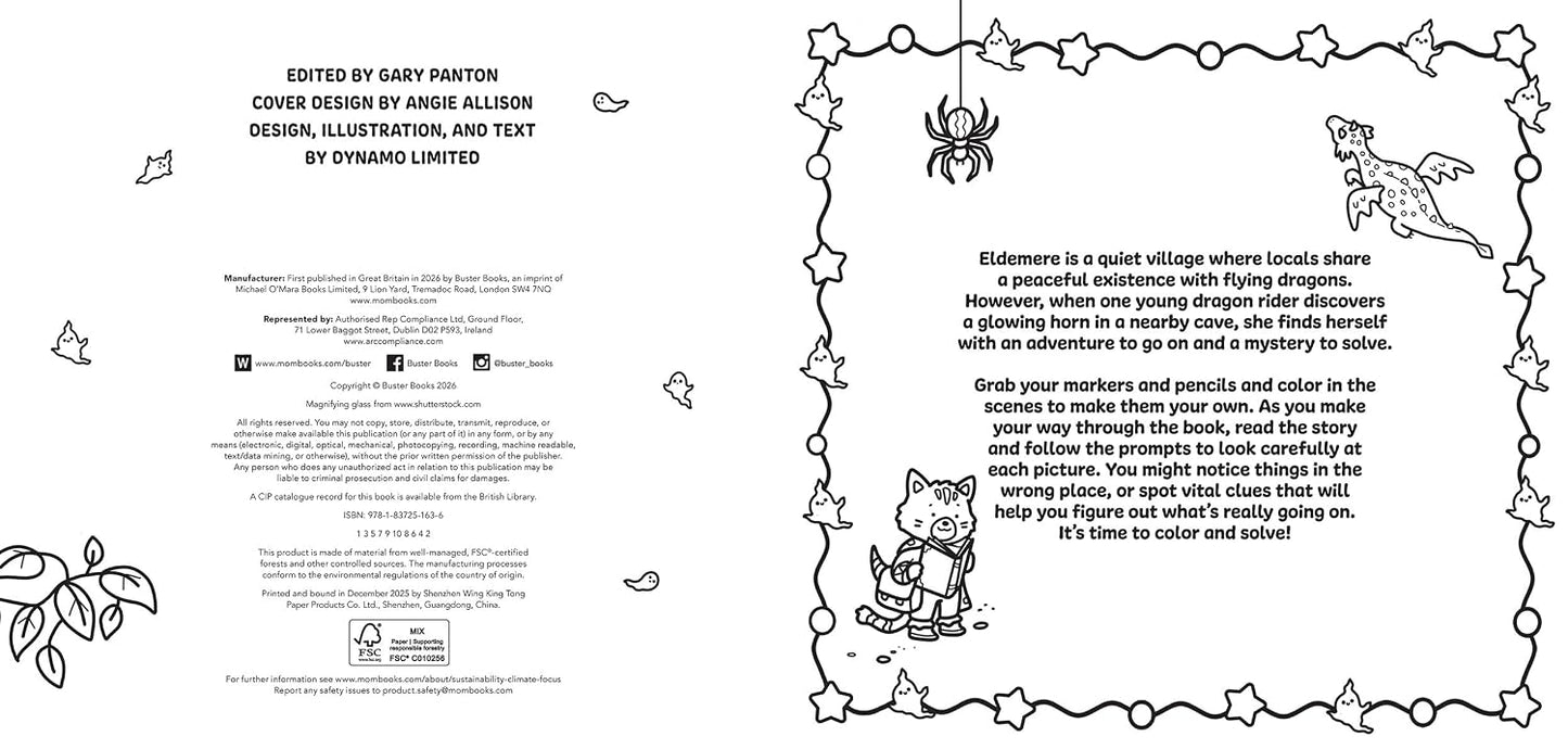 COLOR AND SOLVE: THE QUEST OF THE DRAGON RIDER: PICTURES TO COLOR. A MYSTERY TO UNRAVEL. BY LUCY QUINN
