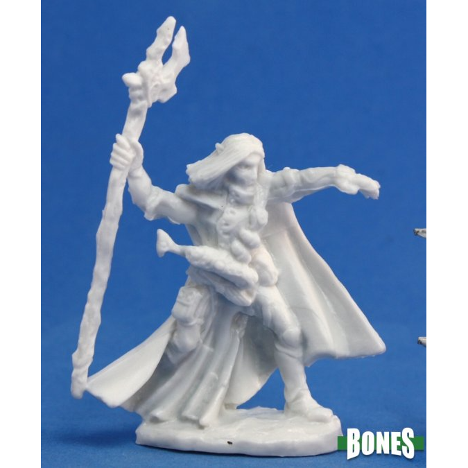 ELQUIN, HIGH ELF ADVENTURER