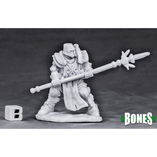 CRUSADER DEFENDER (SPEAR)