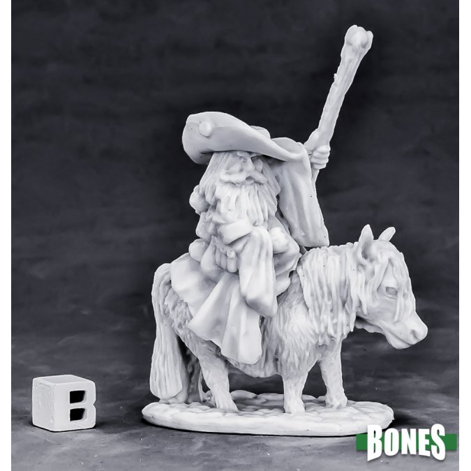 DWARF BATTLE MAGE & PONY