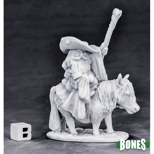 DWARF BATTLE MAGE & PONY