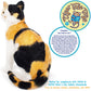 CALICO CAT PLUSH
