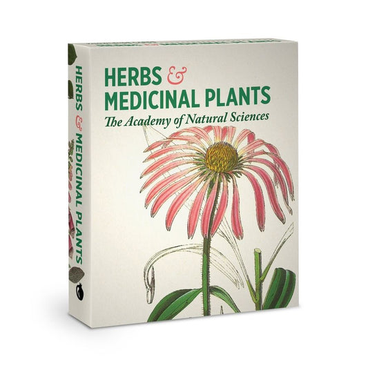 HERBS AND MEDICINAL PLANTS KNOWLEDGE CARDS