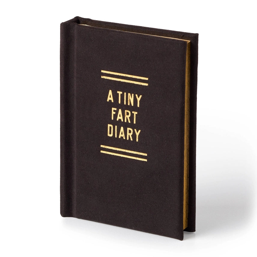 A TINY FART DIARY