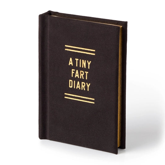 A TINY FART DIARY