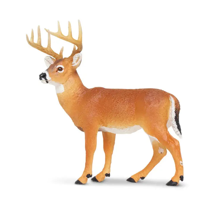 WHITETAIL BUCK
