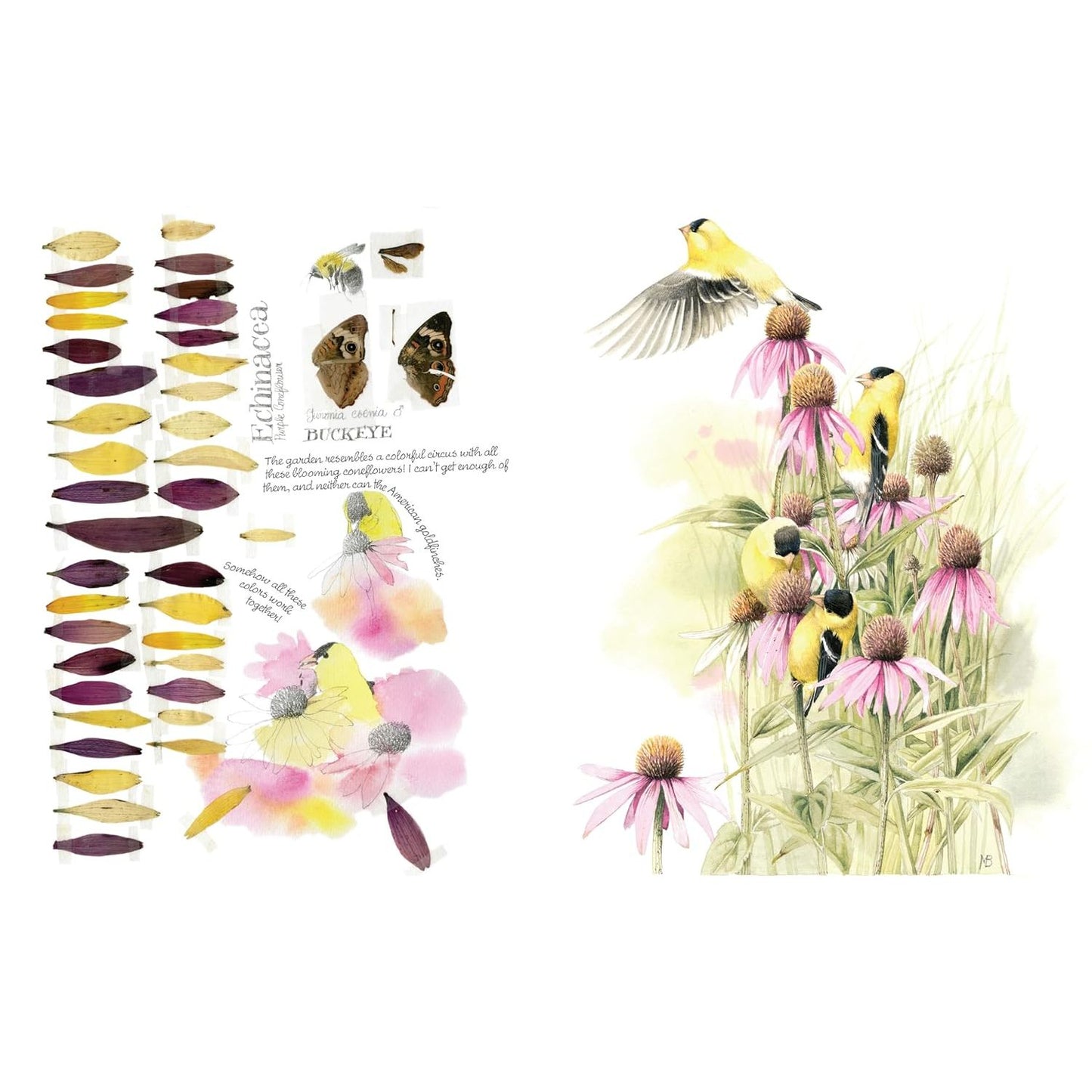 INSPIRED BY NATURE SKETCHBOOK BY MARJOLEIN BASTIN