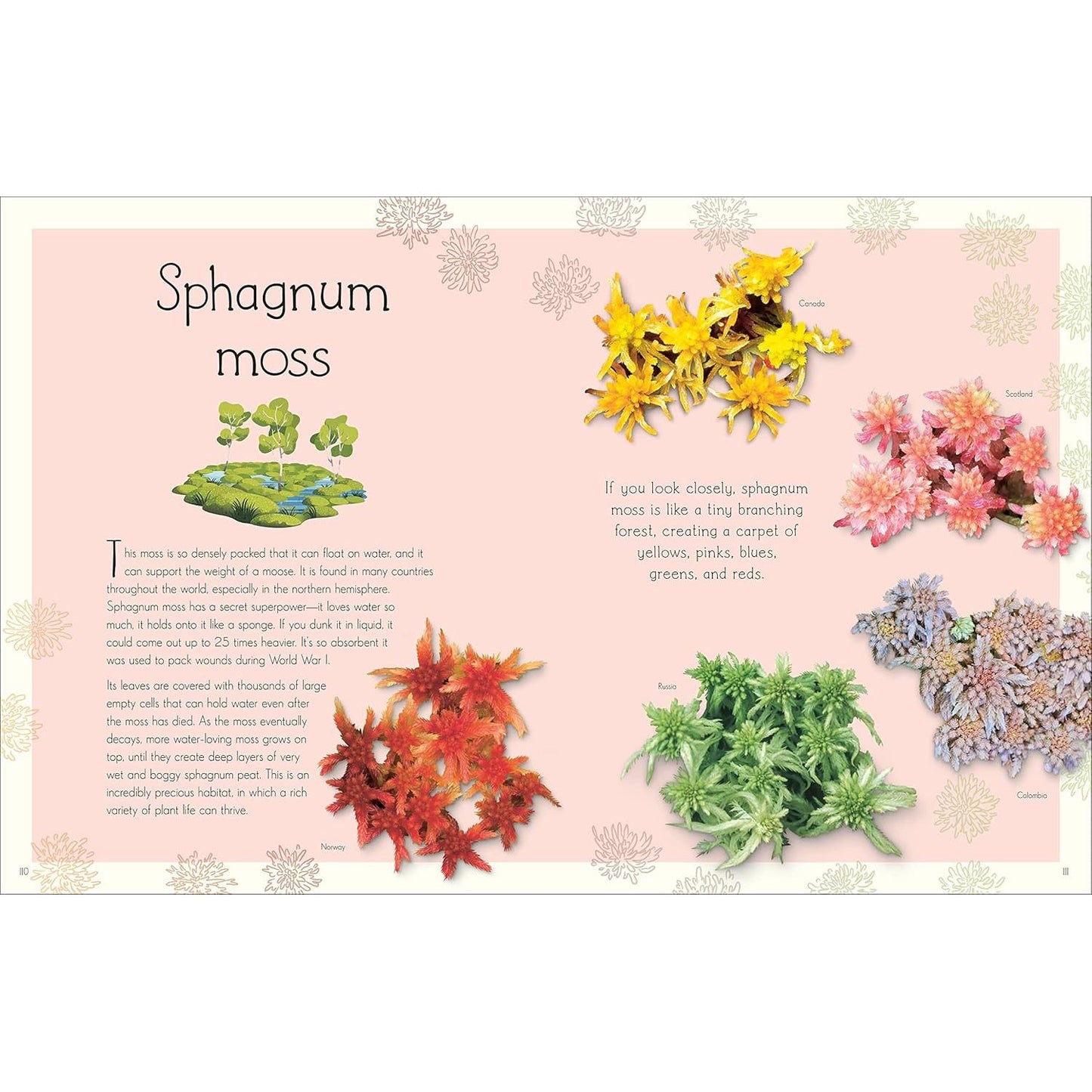 ANTHOLOGY OF AQUATIC LIFE: A DK BOOK