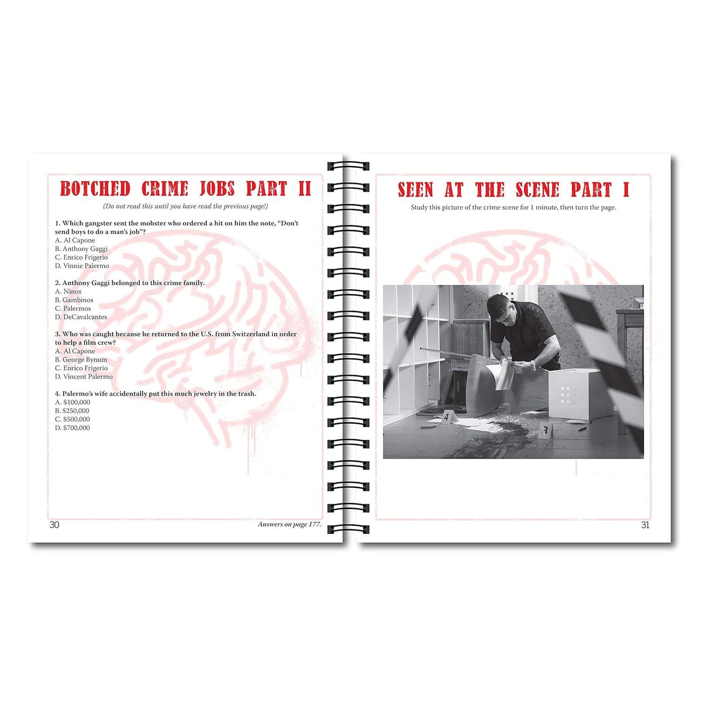 CRIMINAL MIND PUZZLES