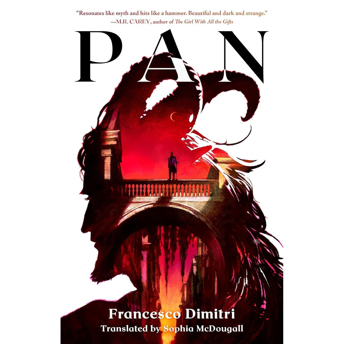 PAN BY FRANCESCO DIMITRI, TRANSLATED BY SOPHIA MCDOUGALL