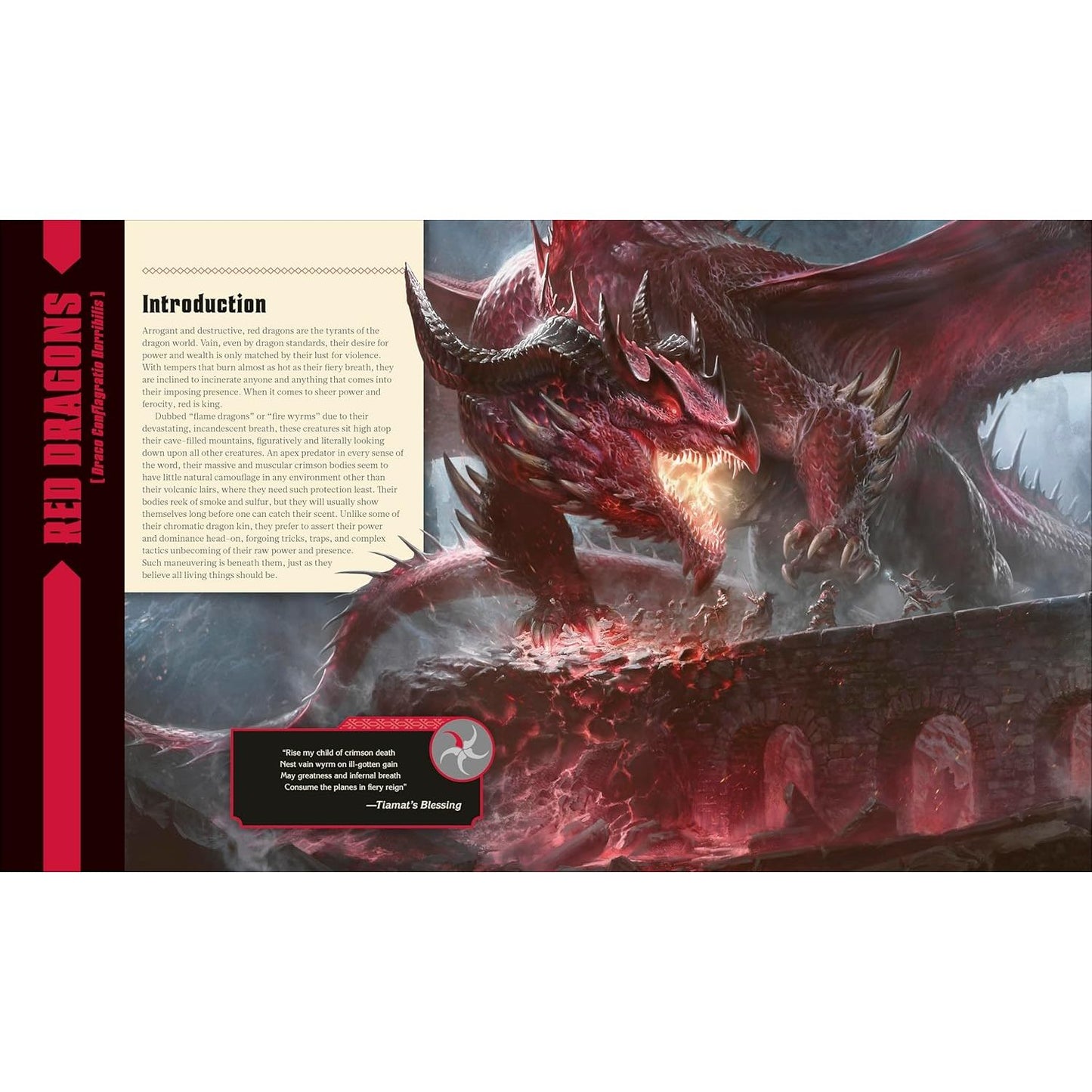 D&D: THE BOOK OF DRAGONS (A DK BOOK)