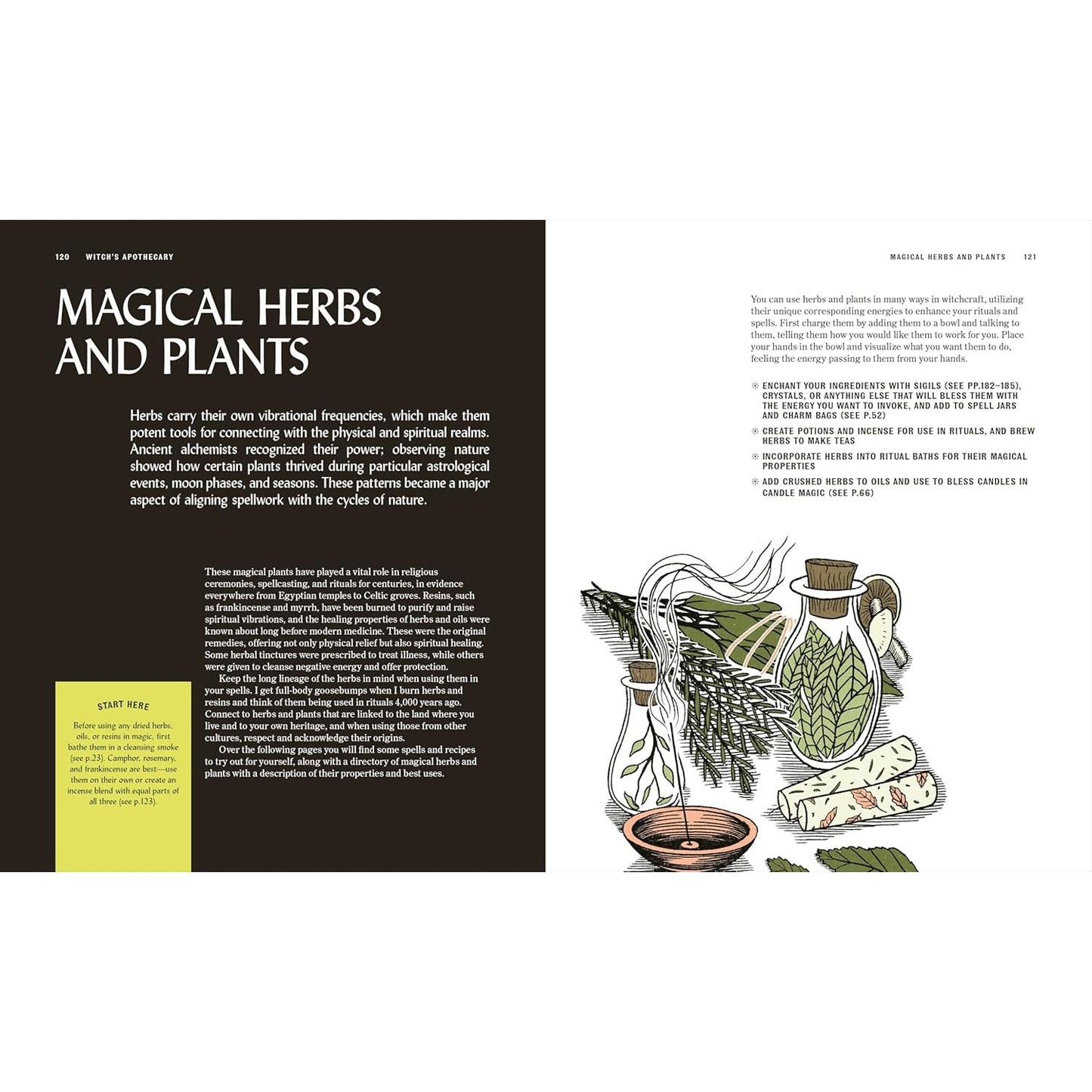 THE BOOK OF WITCHCRAFT BY SEMRA HAKSEVER (DK BOOK)