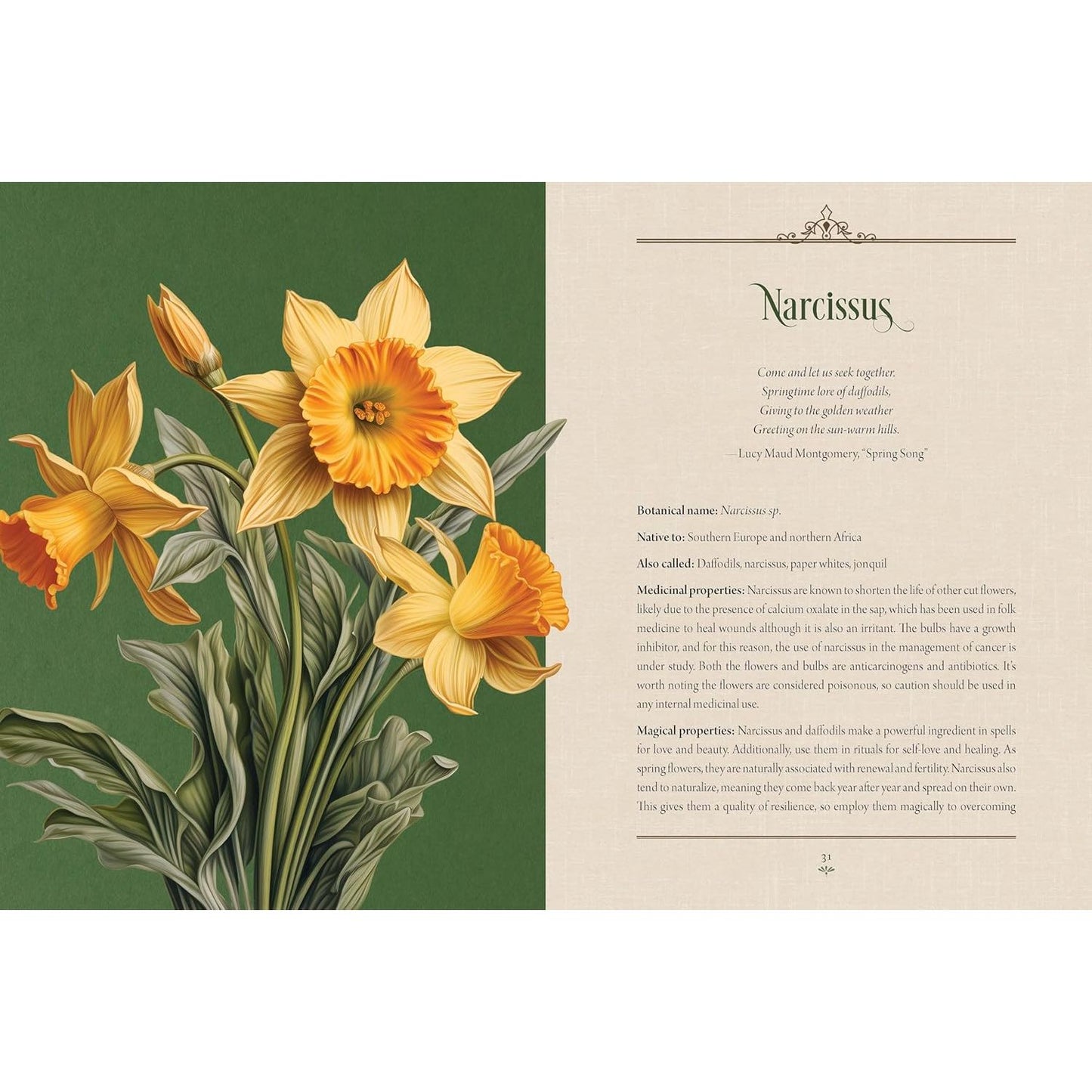 ENCHANTED PLANTS: A TREASURY OF BOTANICAL FOLKLORE & MAGIC BY VARLA VENTURA