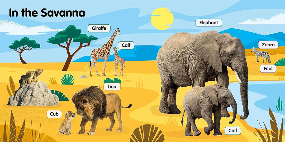 SUPER SOFT BABY ANIMALS