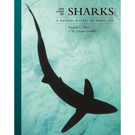 THE LIVES OF SHARKS: A NATURAL HISTORY OH SHARK LIFE BY DANIEL ABEL &R. DEAN GRUBBS