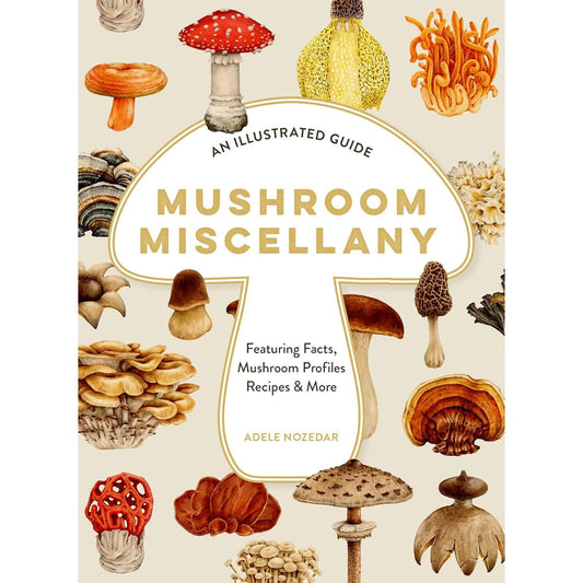MUSHROOM MISCELLANY: AN ILLUSTRATED GUIDE BY ADELE NOZEDAR