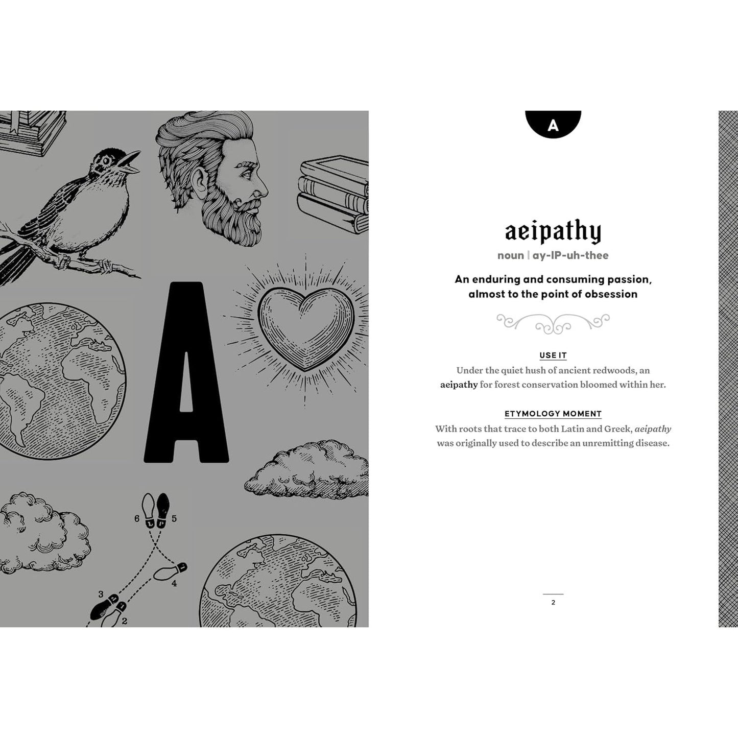 THE WORD NERD DICTIONARY OF OBSCURE & ENCHANTING WORDS BY KAELIN WITT