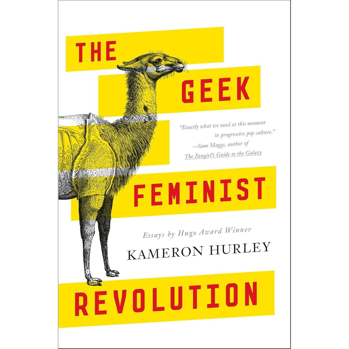 THE GEEK FEMINIST REVOLUTION BY KAMERON HURLEY