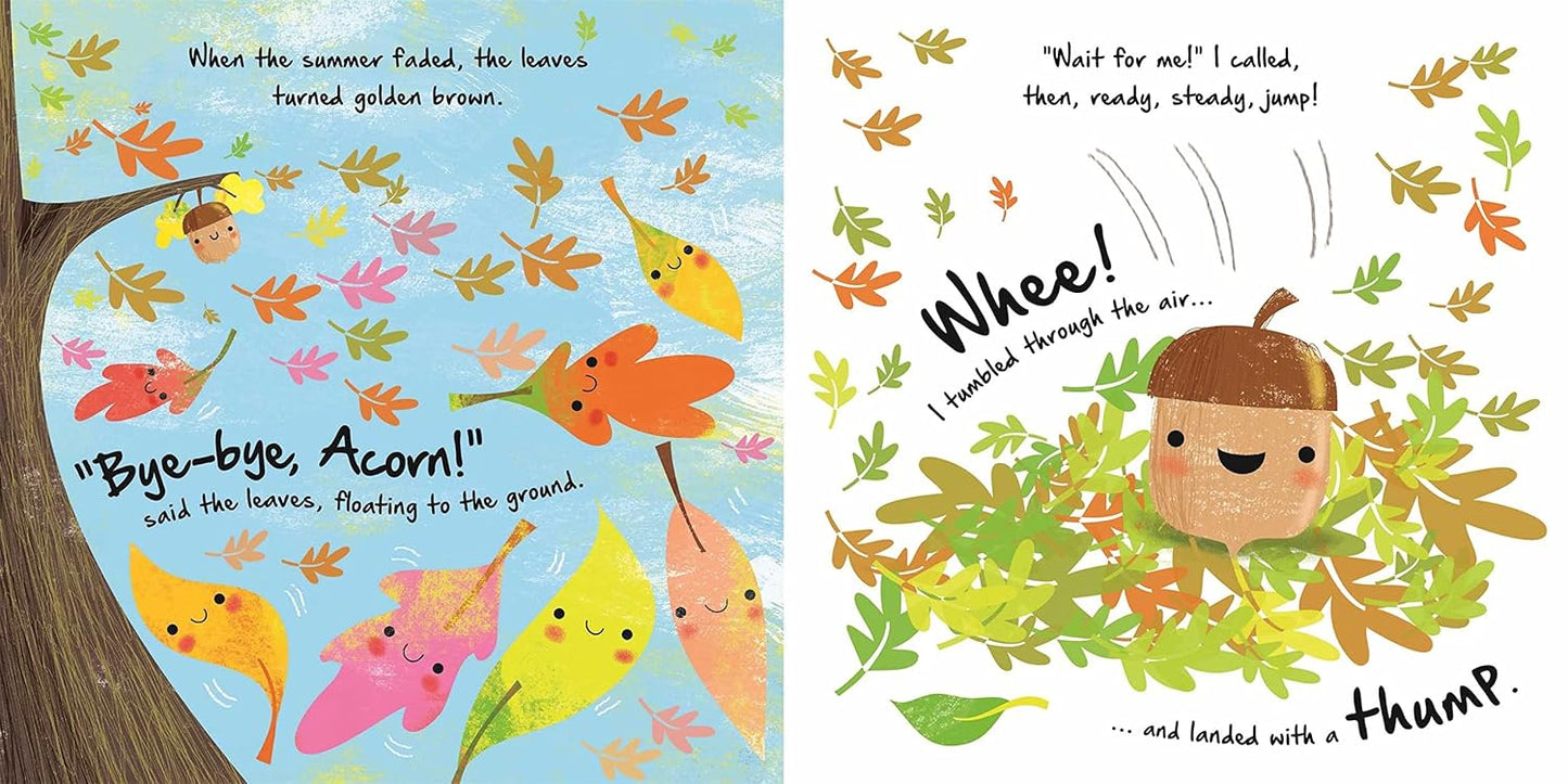 NATURES STORIES: LITTLE ACORN BY IGLOOBOOKS AND GISELA BOHÓRQUEZ