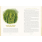 FOREST MAGIC: RITUALS AND SPELLS FOR THE GREEN WITCH BY NIKKI DE CAR