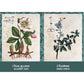 THE POISON PATH ORACLE DECK: A 36-CARD DECK AND GUIDEBOOK BY COBY MICHAEL