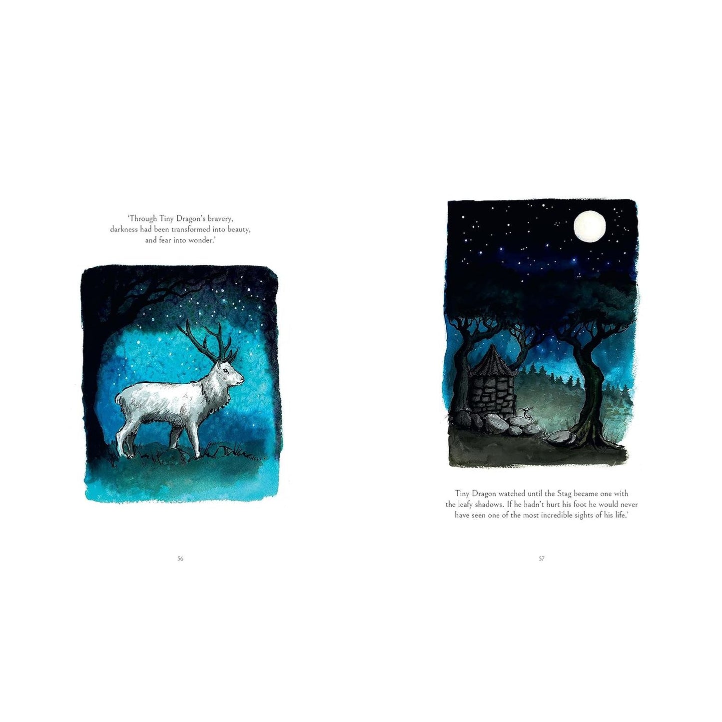 THE CAT WHO TAUGHT ZEN BY JAMES NORBURY