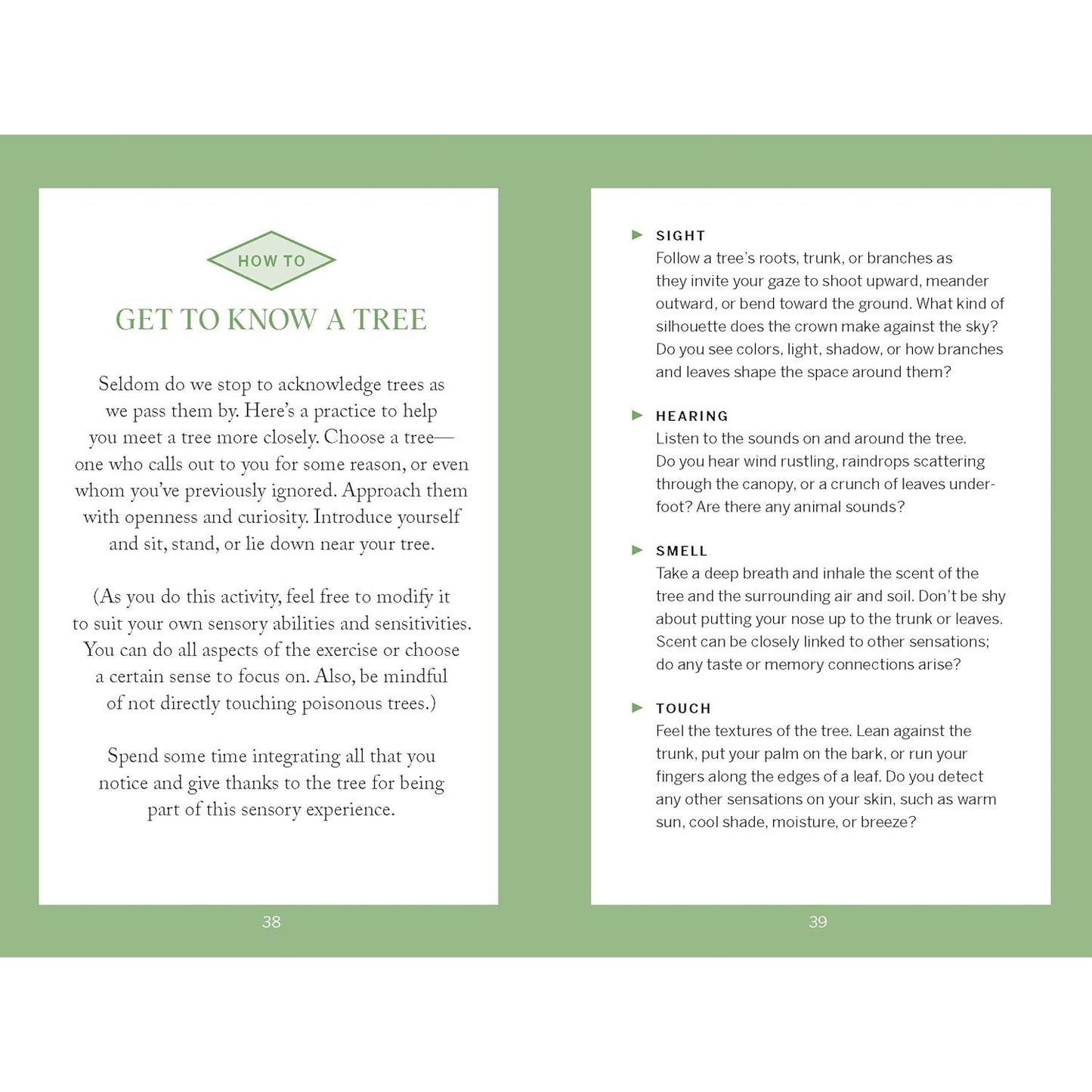 POCKET NATURE: TREE HUGGING - SEEK WISDOM IN THE FOREST