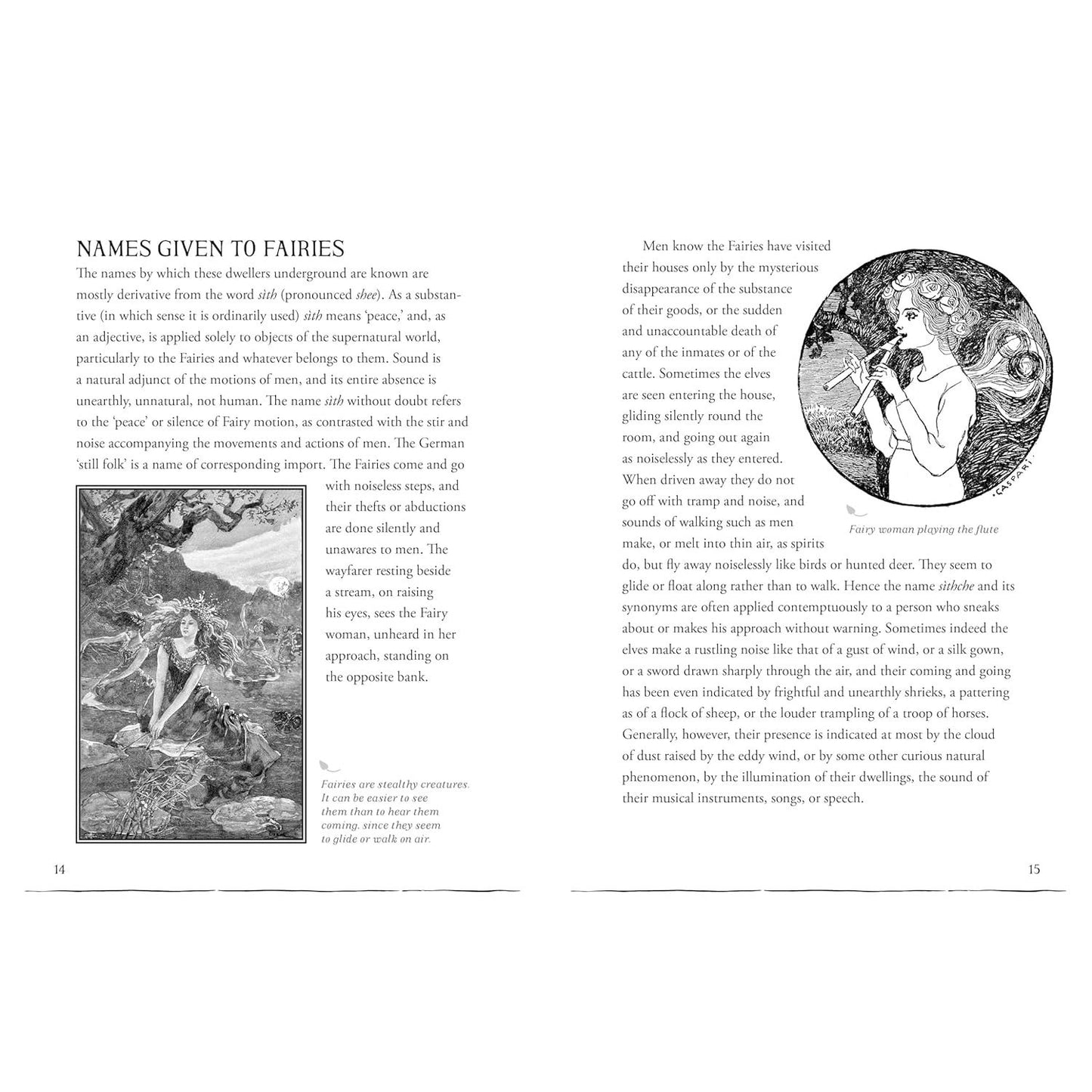 A FIELD GUIDE TO FAIRIES AND MAGICAL BEINGSBY KAYLEIGH EFIRD