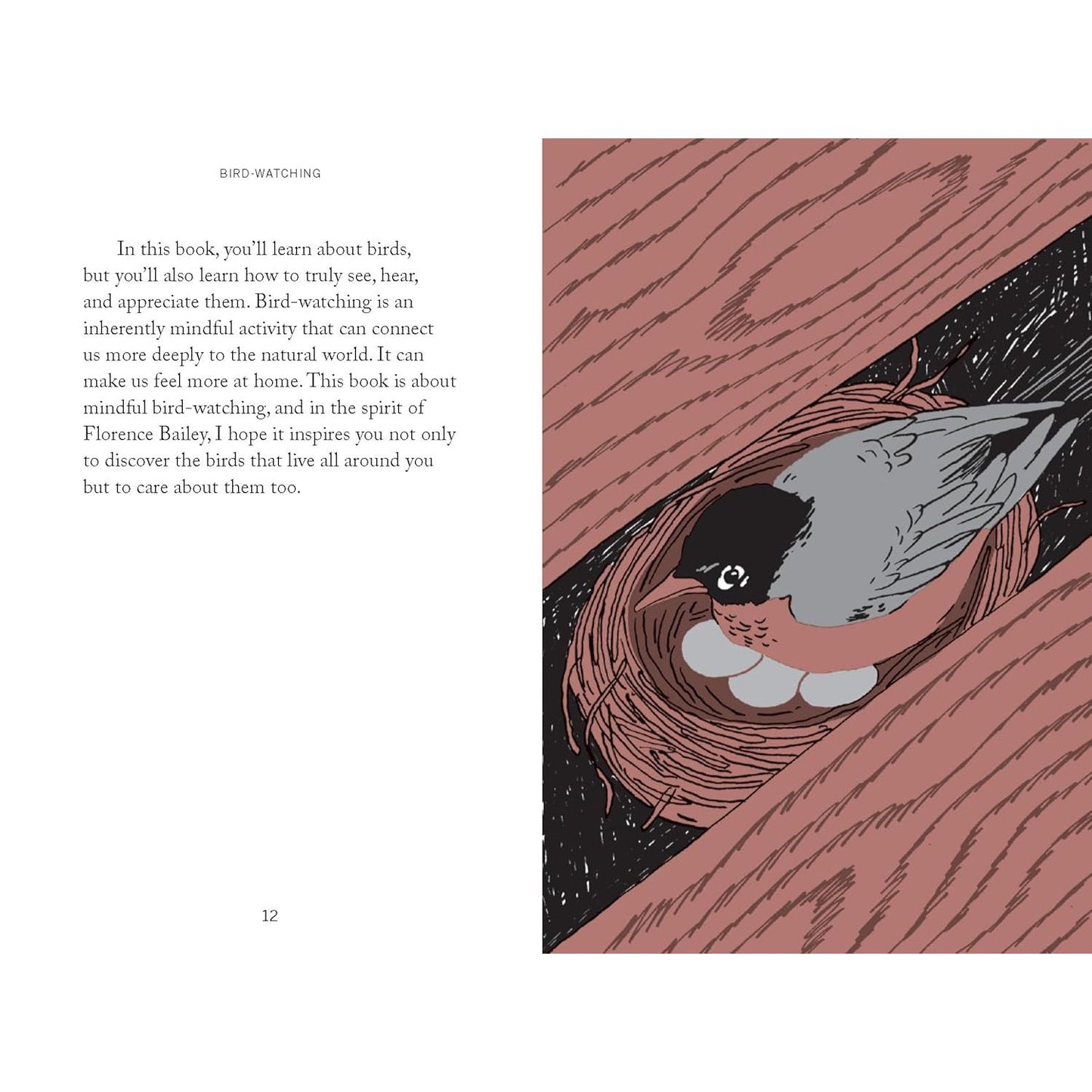 POCKET NATURE: BIRD WATCHING