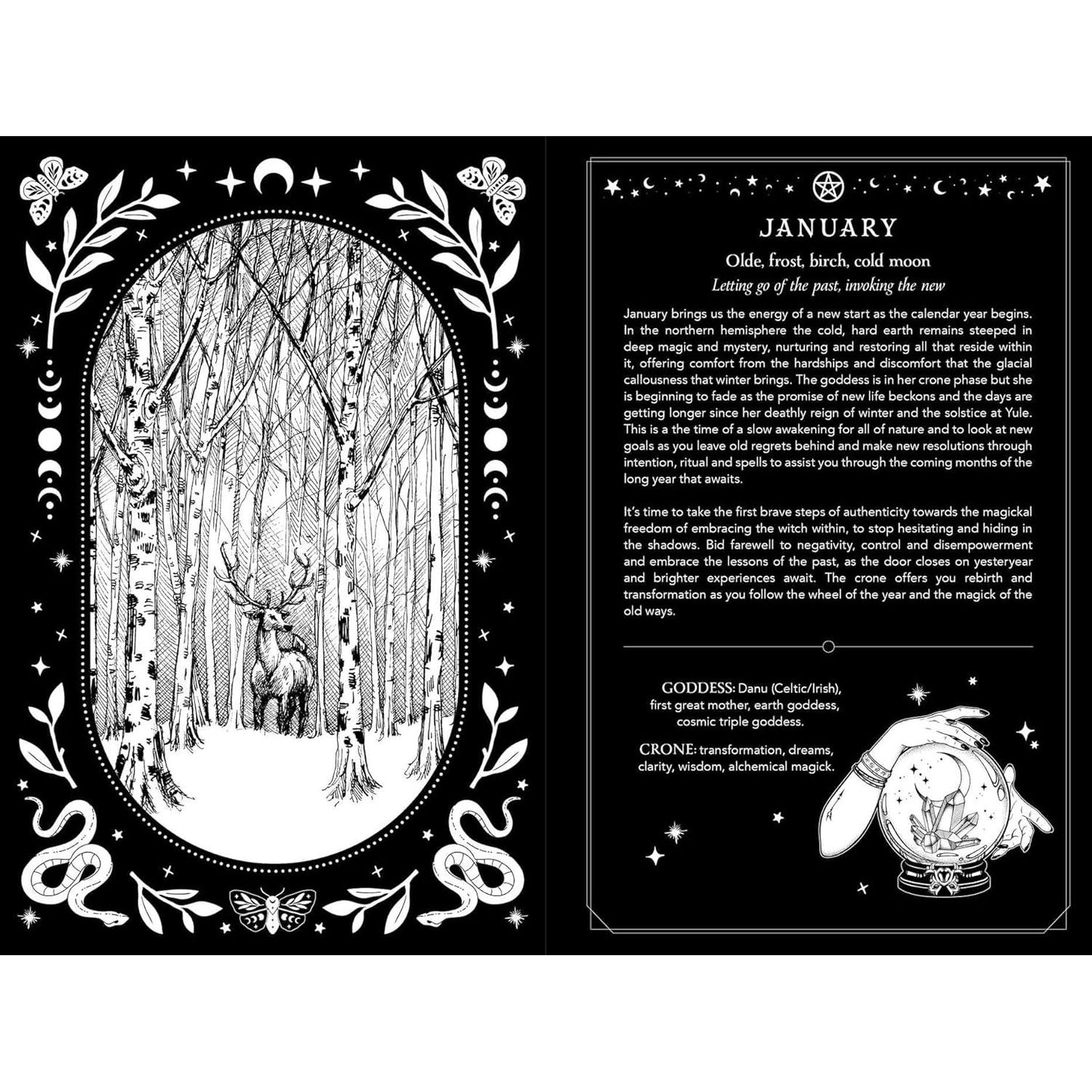 2026 WITCH'S DIARY (NORTHERN HEMISPHERE)