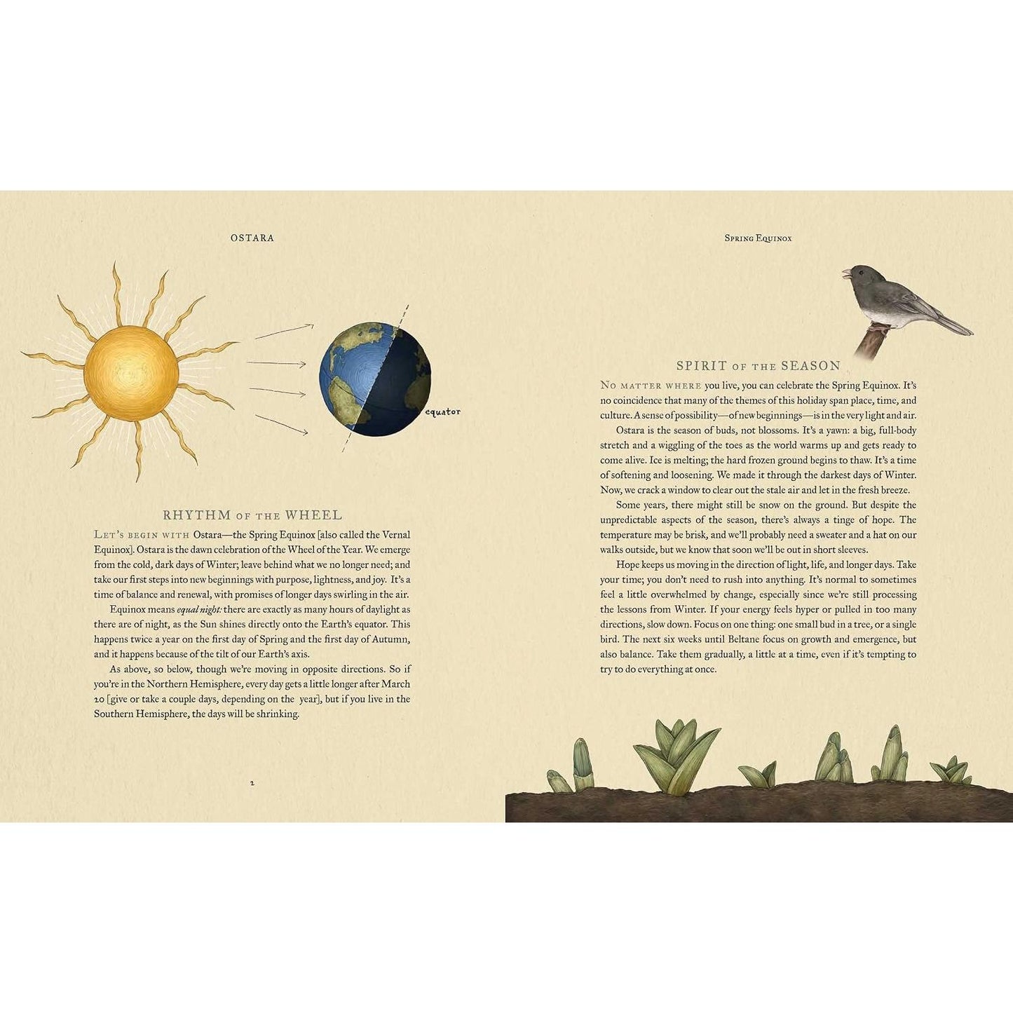 THE WHEEL OF THE YEAR: AN ILLUSTRATED GUIDE TO NATURE'S RYTHMS BY FIONA COOK AND JESSICA ROUX