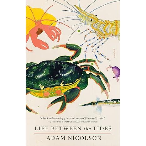 LIFE BETWEEN THE TIDES BY ADAM NICOLSON