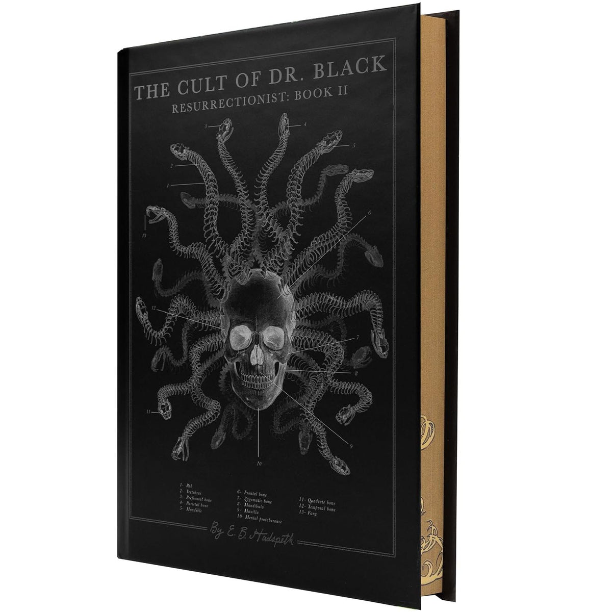 THE CULT OF DR. BLACK BY E.B HUDSPETH