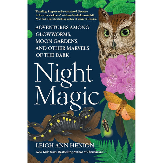 NIGHT MAGIC BY LEIGH ANN HENION