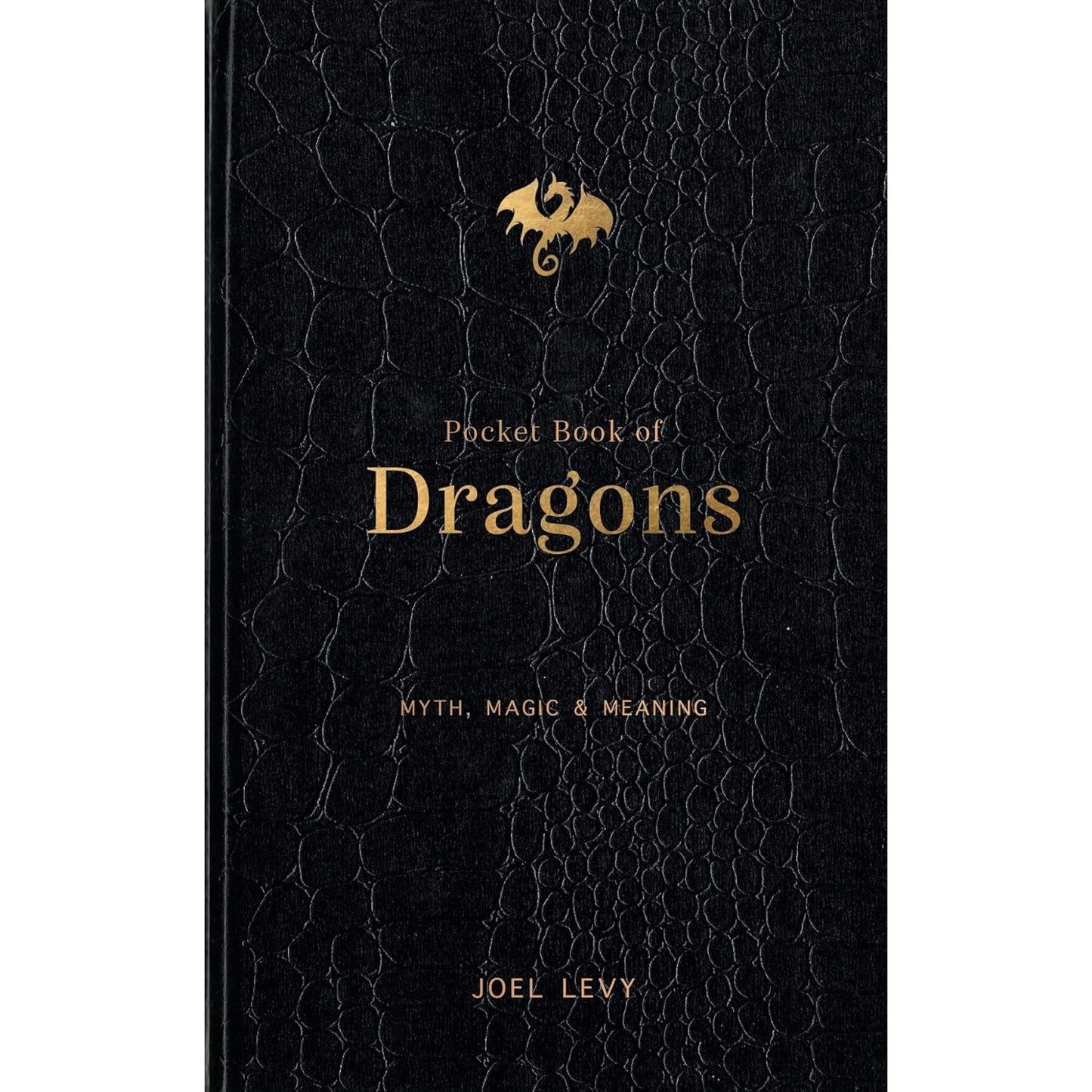 POCKET BOOK OF DRAGONS: MYTH, MAGIC, & MEANING BY JOEL LEVY