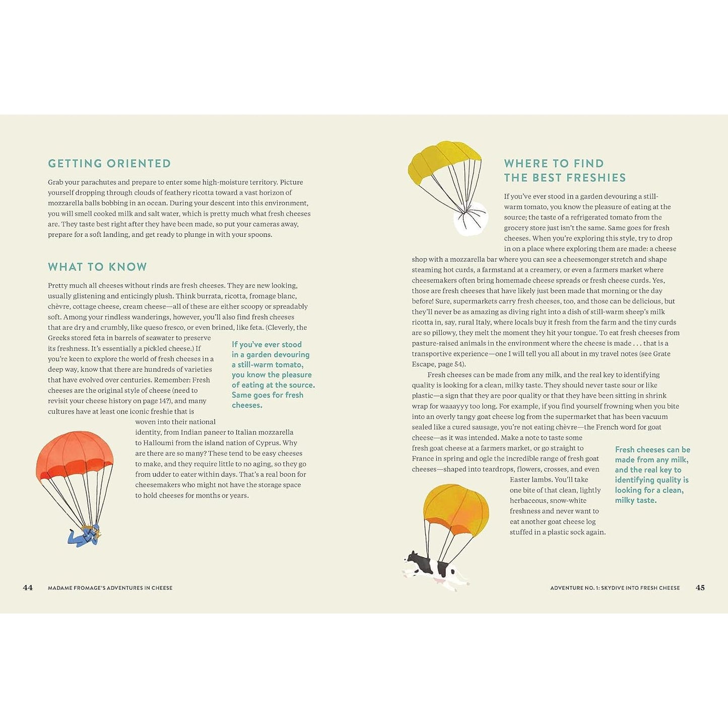 MADAME FROMAGE'S ADVENTURES IN CHEESE BY TENAYA DARLINGTON