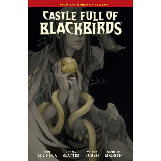 CASTLE FULL OF BLACKBIRDS GRAPHIC NOVEL